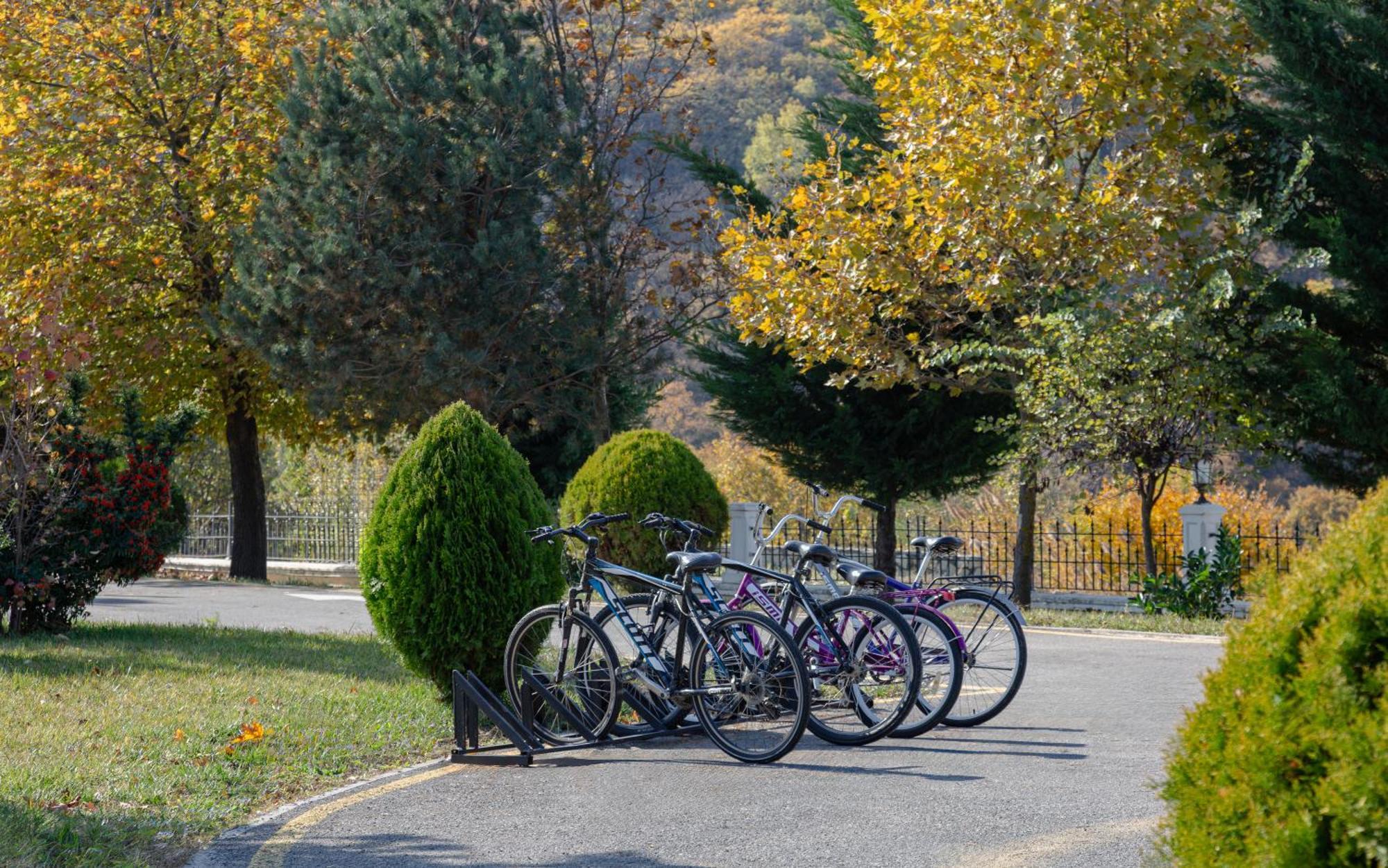 Shamakhi Palace Sharadil Seredil Eksteriør billede Bicycles parked at the entrance of the park