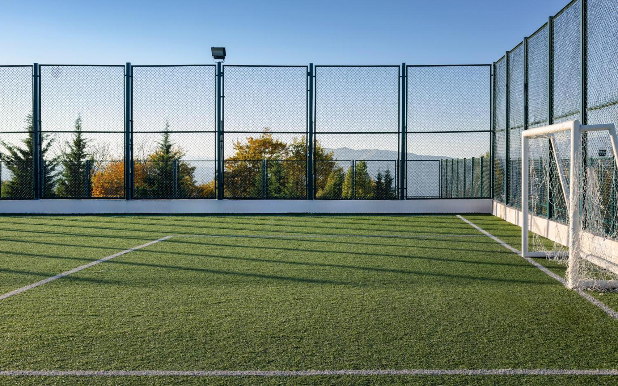 Shamakhi Palace Sharadil Seredil Eksteriør billede The artificial grass pitch at the University of Novi Sad